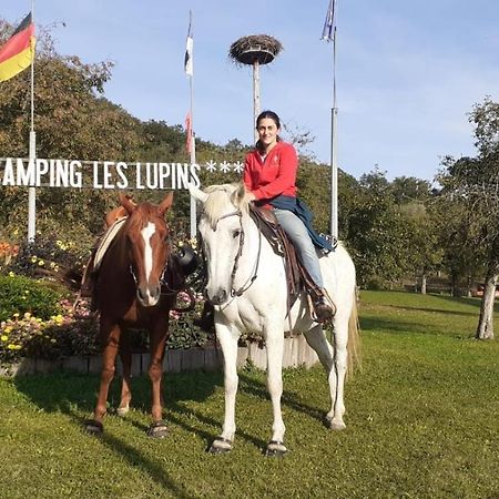 Hotel Camping Les Lupins Seppois-le-Bas Zewnętrze zdjęcie