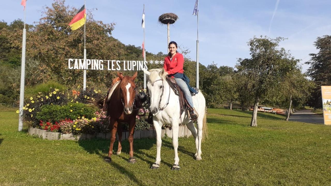 Camping Les Lupins Seppois-le-Bas Zewnętrze zdjęcie