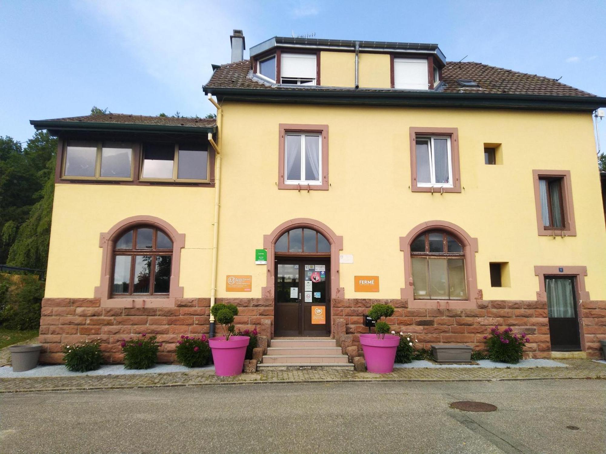 Camping Les Lupins Seppois-le-Bas Zewnętrze zdjęcie